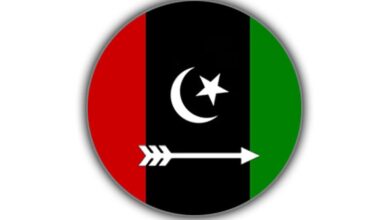 آنے والا دور پیپلزپارٹی کا ہوگا، صوبائی صدر