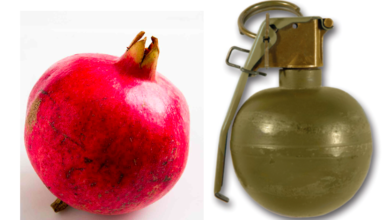 ریسٹورنٹ میں انار منگوائے گئے، عملے نے پولیس کو طلب کرلیا