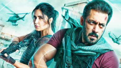 ٹائیگر 3: صرف شاہ رخ ہی نہیں، یہ اسٹار بھی ٹائیگر 3 میں کیمیو کر رہا ہے!