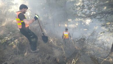 دیر لوئر کے علاقہ شگئی میدان کے پہاڑی پر آگ لگنے کی اطلاع