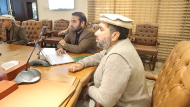 ڈسٹرکٹ سٹیرئینگ کمیٹی