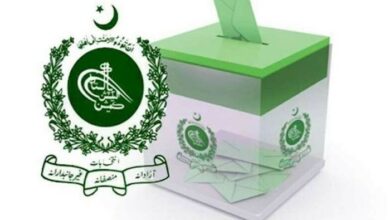 پاکستان نظریاتی پارٹی