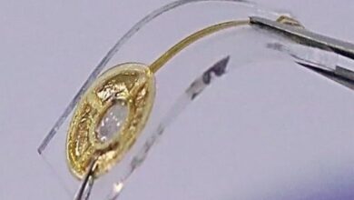 الیکٹرانک زبان