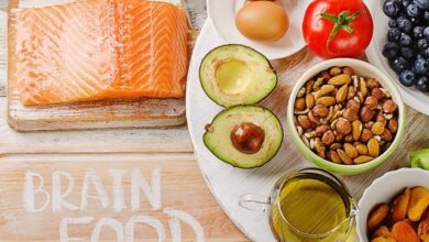 جسم کی فعالیت کیلئے دماغ