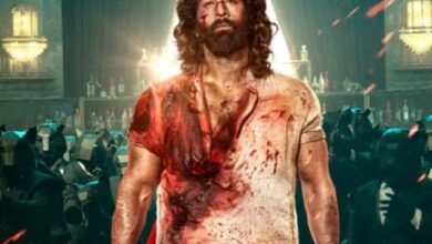 پاکستانی شائقین رنبیر کپور کی 'اینیمل' کب دیکھ سکیں گے؟