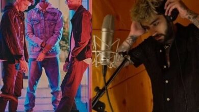 گلوکار زین ملک