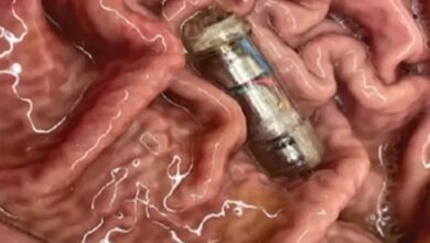 ہائی ٹیک گولی