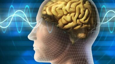 ہارمون ڈوپامین