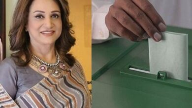 باتیں بنانا چھوڑیں اور ووٹ ڈال کر اپنا حق استعمال کریں، بشریٰ انصاری