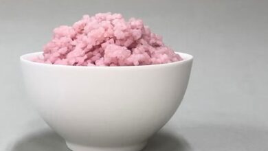 پروٹین سے بھرپور ہائبرڈ چاول