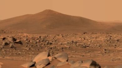 زمینی جراثیم مریخ پر بھی زندہ رہ سکتے ہیں، ماہرین
