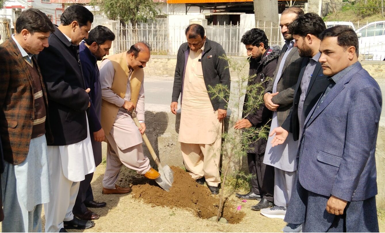 لوئیر دیر: موبی لنک مائیکرو فنانس بینک کے تعاون سے شجر کاری مہم کا آغاز