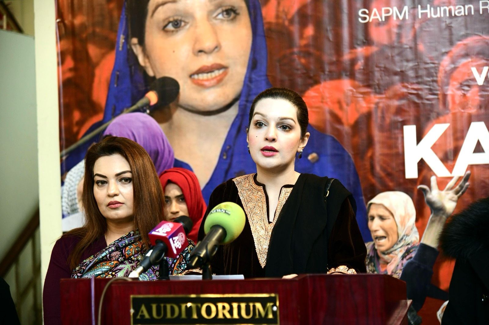 مسئلہ کشمیر کے پرامن حل کے بغیر دنیا میں امن کا قیام ممکن نہیں، مشعال ملک