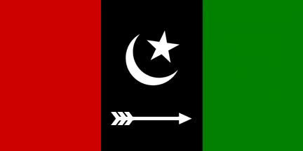 تیمرگرہ: منتخب ہوکر یہاں کے مسائل حل اور عوام کی بے لوث خدمت کریں گے، کامران زیب
