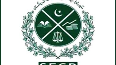 ایس ای سی پی کا نئی کارپوریٹ رجسٹری ای فائلز سسٹم متعارف کرانے کا فیصلہ