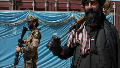 پاکستان نے افغانستان کیلئے اقوام متحدہ کے نمائندہ خصوصی کی تقرری کی حمایت کردی