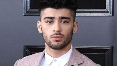 گلوکار زین ملک پاکستان آرہے؟ برطانوی ہائی کمشنر نے اشارہ دیدیا