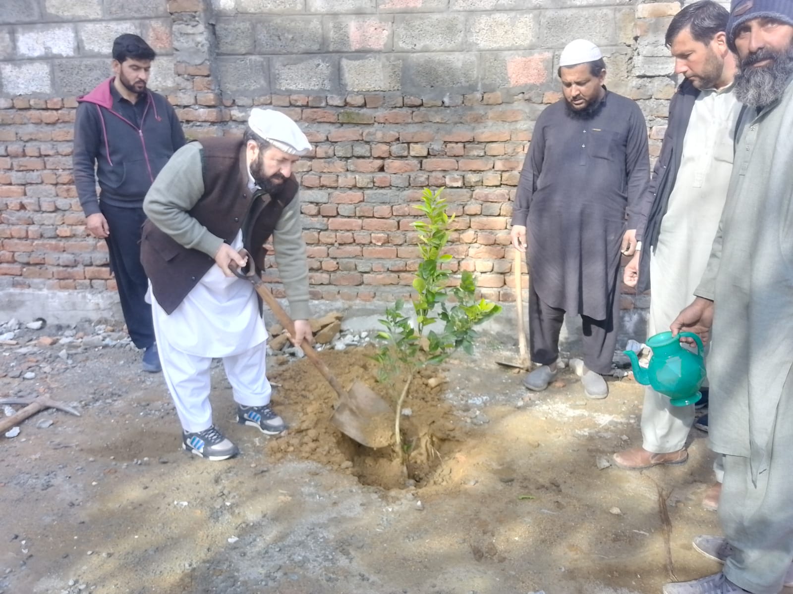 بانڈہ میں موسم بہار شجرکاری مہم کا افتتاح