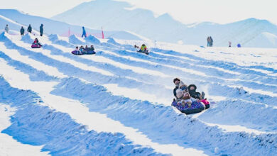 ہواؤں اور لہروں کو توڑتے ہوئے، چینی معیشت روشن مستقبل کی جانب گامزن ہے۔