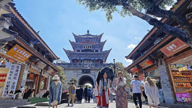 چینی "انٹرنیٹ کے مشہور شہر" ترقی کی کلید تلاش کرتے ہیں۔