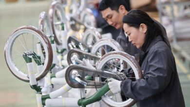 چین مسلسل اعلیٰ سطحی اوپننگ کو بڑھا رہا ہے۔