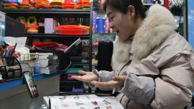 چینی سرحد پار ای کامرس پلیٹ فارم بیرون ملک مقبولیت حاصل کر رہے ہیں۔