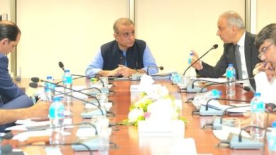 نجکاری کا عمل تین مراحل میں،ادارے اونے پونے داموں نہیں دیں گے:عبدالعلیم خان