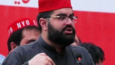 باجوڑ: پختونوں کے وسائل پر قبضہ ہو رہا ہے، ٹارگٹڈ کارروائی کی جائے، ایمل ولی خان