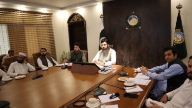 بلین ٹری پلس پلانٹیشن ڈرائیو کی میٹنگ، پانچ لاکھ پودے مفت تقسیم کرنے کا اعلان