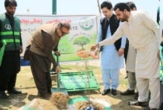 ڈپٹی کمشنر نوید اکبر کا ہلز پارک دیر میں مون سون شجرکاری مہم کا افتتاح، 9 لاکھ پودے لگانے کا اعلان