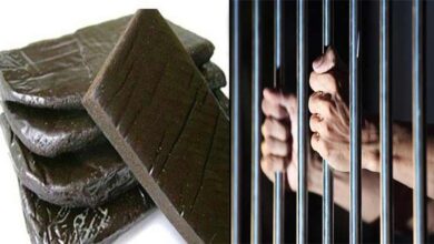 سوات: رحیم آباد پولیس کا منشیات فروشوں کے خلاف کریک ڈاؤن، 442 گرام چرس برآمد