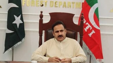 پی ٹی آئی پر پابندی کے خواب دیکھنے والے احمقوں کی جنت میں رہتے ہیں: فضل حکیم خان