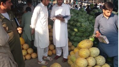 لوئیر دیر: فروٹ و سبزی کے نئے نرخنامے کا اجراء، شکایات کے لئے ہیلپ لائنز قائم