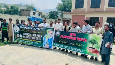 ضلعی انتظامیہ اور محکمہ جنگلات کے زیر اہتمام "بلین ٹری پلس پلانٹیشن ڈرائیو" کا انعقاد