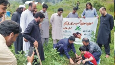 سوات میں مون سون شجرکاری اور صفائی مہم شروع