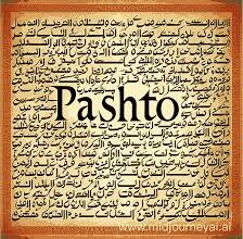 دیر: پشتو لازمی پڑھانے کی قرارداد کا اجلاس منعقد