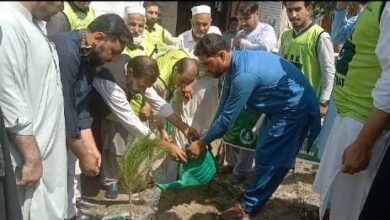 فلاحی تنظیم نوجوانان کوٹکے رباط کی مون سون شجر کاری مہم کا آغاز، 300 پودے لگائے گئے