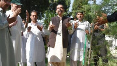 سوات میں شجرکاری مہم جاری، ڈپٹی کمشنر سوات نے دفتر کمپاؤنڈ میں پودا لگایا