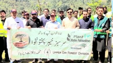 دیر: مون سون شجرکاری مہم کا آغاز، صوبے بھر میں پانچ لاکھ پودے لگانے کا ہدف