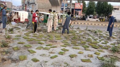 سوات: سول سوسائٹی کی موسمیاتی تبدیلی کے خلاف شجر کاری مہم کا آغاز