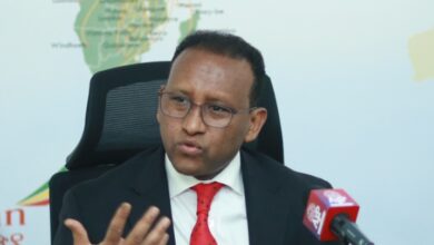 ایتھو پیا،سیاحت کے عالمی افق پر ابھرتا ہوا ستارہ