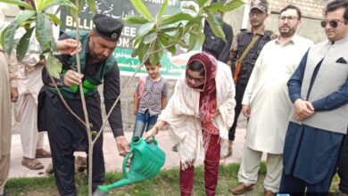 دیر پائین: بلین ٹری پلانٹیشن ڈرائیو کے تحت بلامبٹ کالونی میں پودے لگائے گئے۔