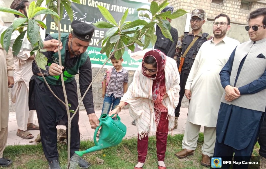 دیر پائین: بلین ٹری پلانٹیشن ڈرائیو کے تحت بلامبٹ کالونی میں پودے لگائے گئے۔