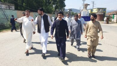 دیر پائین: ڈپٹی کمشنر کا بیوٹیفکیشن اور روڈ منصوبوں کا معائنہ، جلد تکمیل کی ہدایت