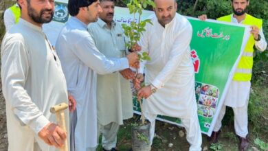 ٹی ایم اے ڈگر کی مون سون شجرکاری مہم میں تیزی، سکول میں آگاہی واک اور پودے لگانے کا عمل جاری