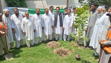 خیبرپختونخوا شجرکاری مہم کا آغاز، ثمرباغ میں چینار کے پودے لگائے گئے، عوام سے پودے لگانے کی اپیل