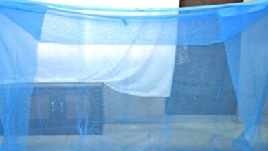 ضلع دیر: مچھر دانیوں کی تقسیم کا عمل 8 اگست کی بجائے 13 اگست سے شروع