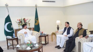 گورنر پنجاب سے زمرد خان کی قیادت میں اوورسیز پاکستانیوں کے وفد کی ملاقات