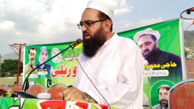 تیمرگرہ میں تحریک استحکام پاکستان کی امن ریلی اور تقریب