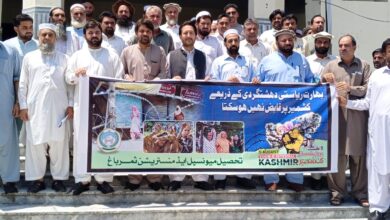 ثمرباغ: یوم استحصال کشمیر کے حوالے سے واک